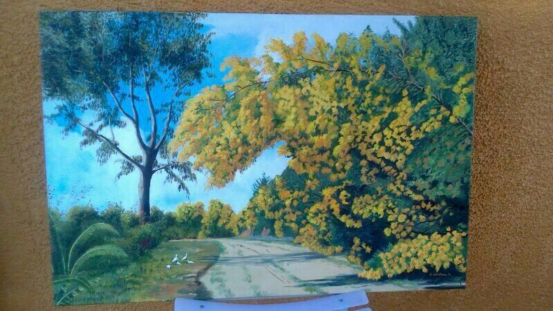 El Camino de las Mimosas